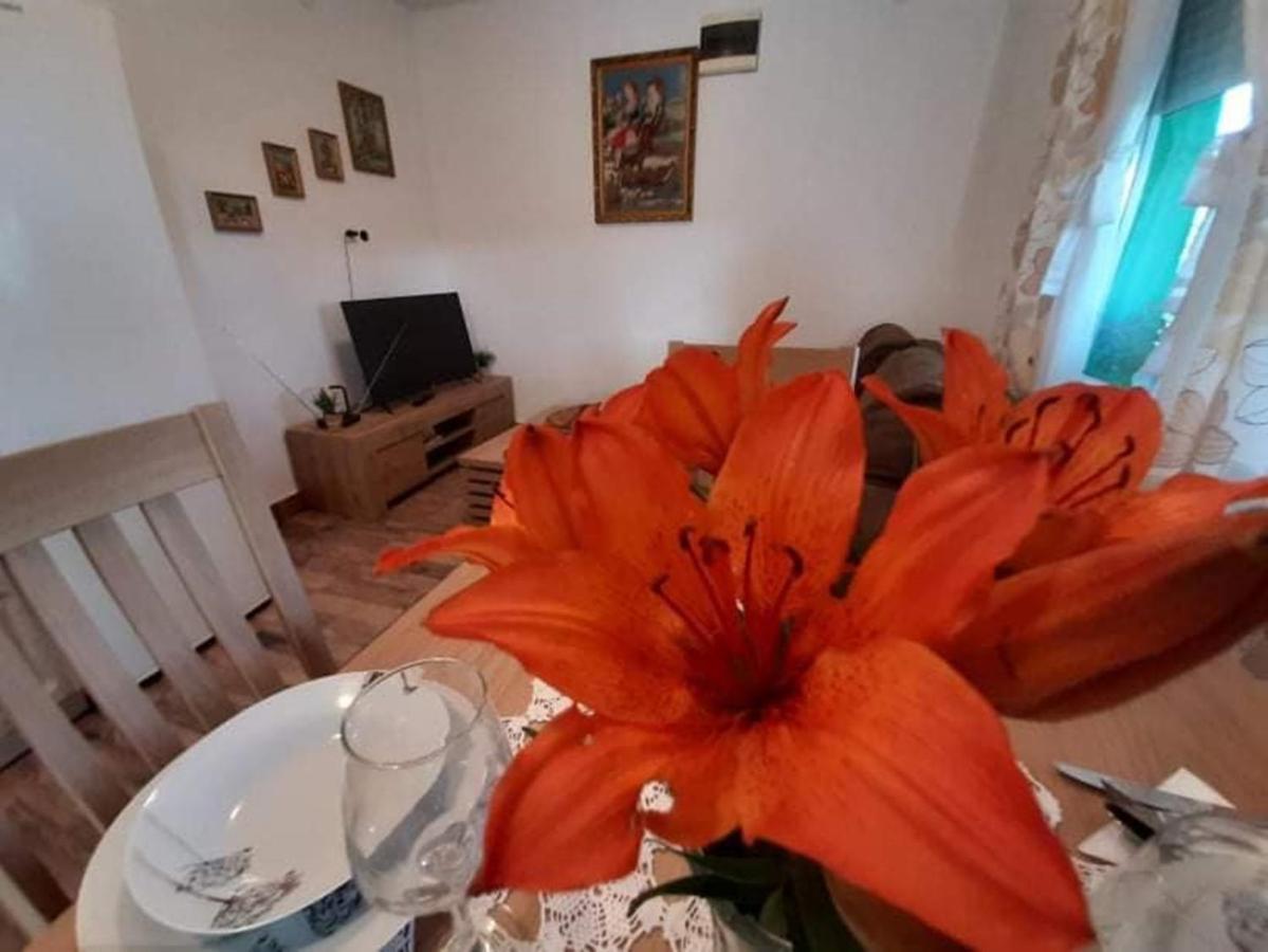 Ruralna Kuca Za Odmor Viktorija Villa Caglin Exterior photo